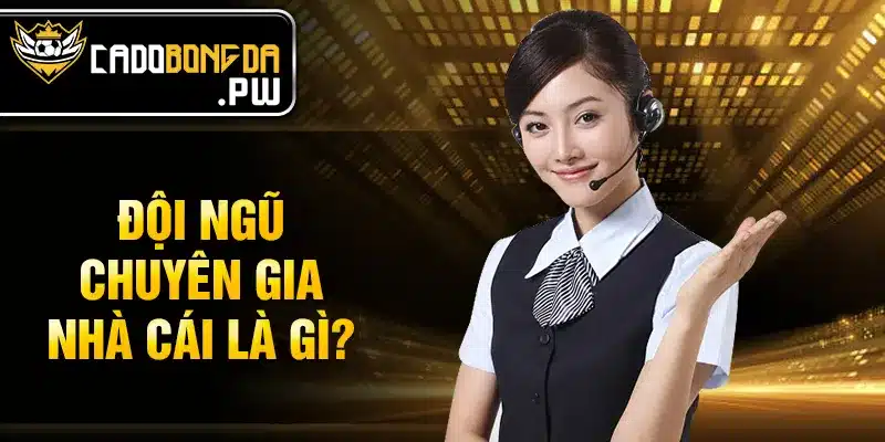 Đội ngũ chuyên gia nhà cái là gì?