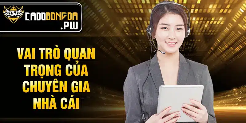 Vai trò quan trọng của chuyên gia nhà cái