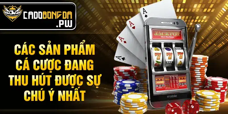 Các sản phẩm cá cược đang thu hút được sự chú ý nhất