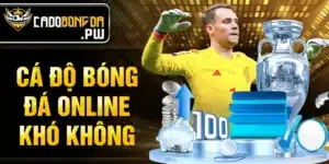 cá độ bóng đá online khó không