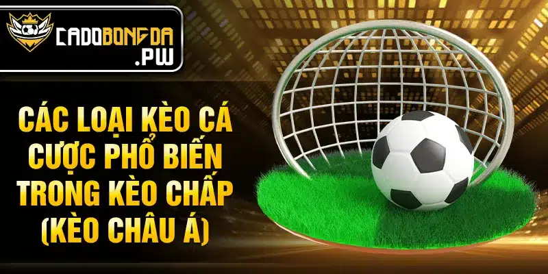Các loại kèo cá cược phổ biến trong kèo chấp (kèo châu Á)