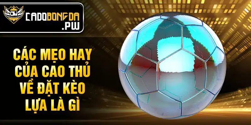 Các mẹo hay của cao thủ về đặt kèo lựa là gì