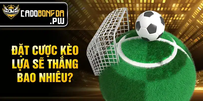 Đặt cược kèo lựa sẽ thắng bao nhiêu?