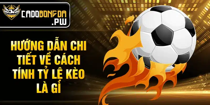Hướng dẫn chi tiết về cách tính tỷ lệ kèo là gì