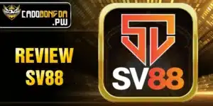 review-sv88
