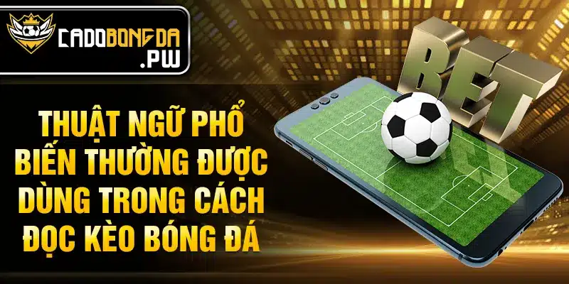 Thuật ngữ phổ biến thường được dùng trong cách đọc kèo bóng đá