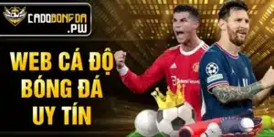 web cá độ bóng đá uy tín