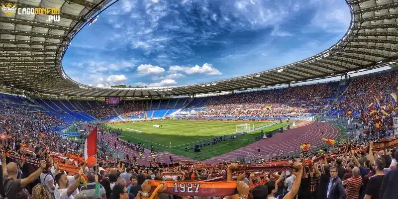 Cá độ bóng đá là gì? Cùng đi so sánh các hình thức betting phổ biến