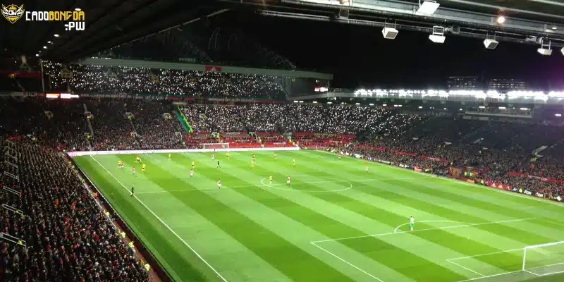 Cách để cá độ bóng đá trực tuyến dành cho người mới